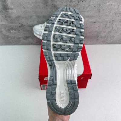P6000 - Wolf Grey